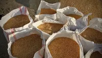 محکومیت هزار میلیارد ریالی برای عرضه خارج‌ازشبکه گندم در خراسان‌رضوی
