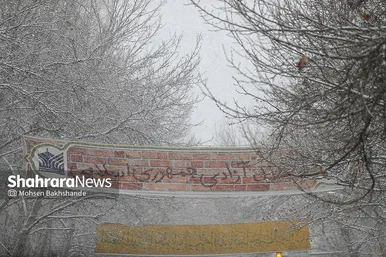 گزارش تصویری | بارش برف در مشهد (۲۱ بهمن ۱۴۰۳)