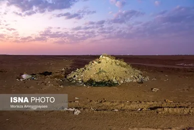 گزارش تصویری | بحران زمین و آب در قلب خراسان