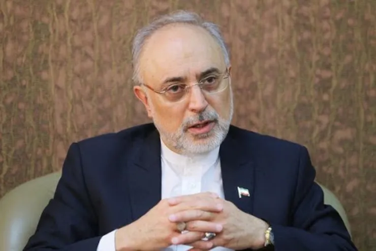 صالحی: رهبری فرمودند مذاکرات مسقط و ۱+۵ با آمریکا باید هماهنگ جلو رود | احمدی نژاد استنکاف کرد + فیلم