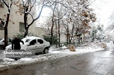 گزارش تصویری | شکستگی درختان در مشهد بر اثر بارش برف