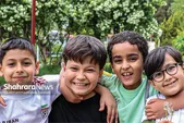 دلیلی برای زندگی