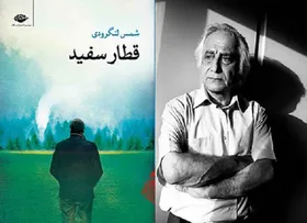 &laquo;قطار سفید&raquo; شمس لنگرودی منتشر شد