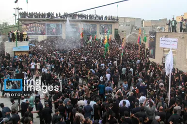 محرم ۱۴۰۴ | عکس‌هایی از آیین سنتی «عَلَم پیغمبر» در میناب