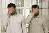 عملیات نجات مرغ‌ها از چنگال مرغ‌دزدها