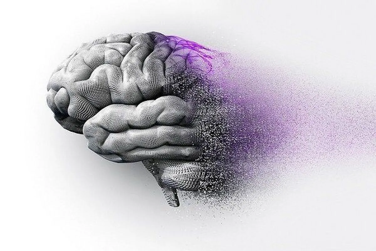 افزایش میزان زوال عقل در افراد چاق؛ علت چیست؟