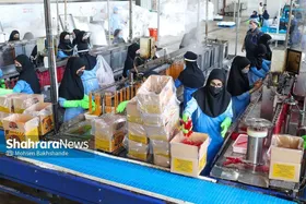منابع مالی پرداخت تسهیلات تکلیفی و اشتغال مشخص شد