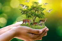 مرجعیت کنوانسیون تنوع زیستی به محیط زیست واگذار شد
