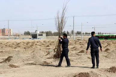 مراسم روز درختکاری در مشهد 