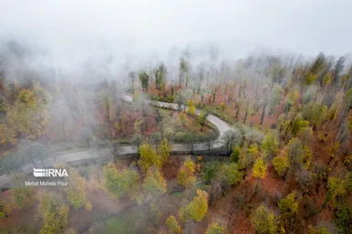 ایران زیباست | فصل هزار رنگ پاییز