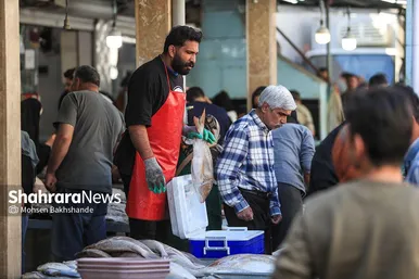 گزارش تصویری |  بازار ماهی فروشان در شهرک عرب‌های مشهد