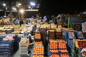 تعطیلی تمامی میادین میوه و تره&zwnj;بار مشهد در روز&zwnj;های پنجشنبه (۲۲ شهریور ۱۴۰۳) و شنبه (۳۱ شهریور)