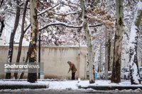 پیش‌بینی هواشناسی مشهد و خراسان رضوی امروز (یکشنبه، ۲۱ دی ۱۴۰۴) | مشهدی‌ها منتظر برف و باران باشند