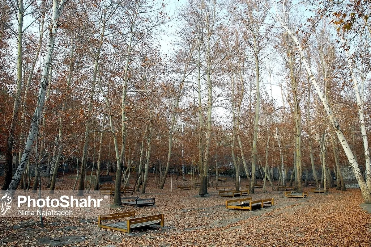 پیش‌بینی هواشناسی مشهد و خراسان رضوی امروز (یکشنبه، ۲۷ مهرماه ۱۴۰۴) | آغاز روند افزایش نسبی دما از فردا