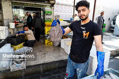 بازار ماهی فروشان در شهرک عرب‌های مشهد