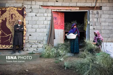 گزارش تصویری | نوغانداری، تولید ثروت از کرم ابریشم