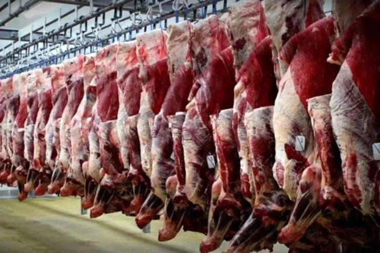 قیمت گوشت در بازار کاذب است