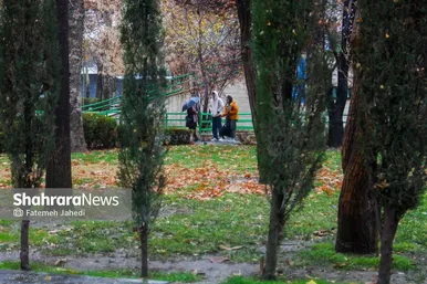 گزارش تصویری | بارش نخستین برف پاییزی در مشهد