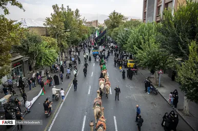 کاروان نمادین اسرای کربلا «بنی اسد»