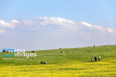 ایران زیباست | طبیعت بهاری دامنه کوه سبلان