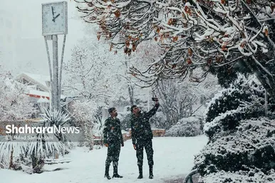 بارش برف در مشهد
