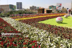 مشهد مقدس، رکورددار گل&zwnj;کاری بهاری در کشور