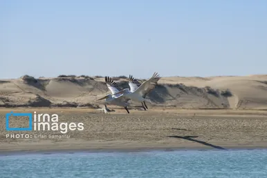 گزارش تصویری | سیستان و بلوچستان سرزمین باد و دریا