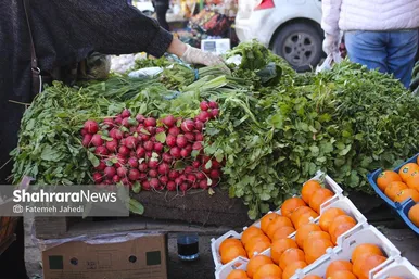 گزارش تصویری |  میدان تره‌بار سپاد در تب‌ و تاب نوروز