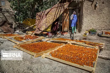 پشت بام های طلایی خَروْ