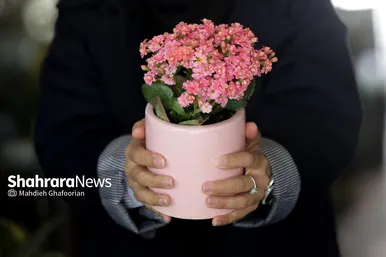 حال و هوای بازار گل مشهد در آستانه عید
