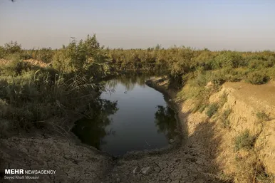 مرگ هورالعظیم