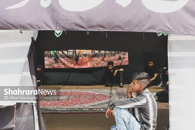 زائران پیاده امام رضا(ع) - ۲