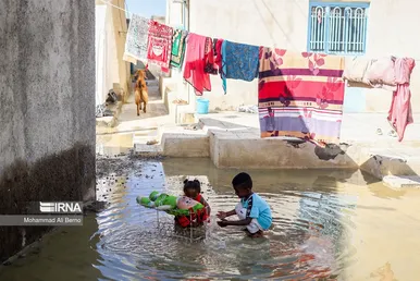 واکسیناسیون دام در مناطق سیل زده