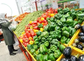 بررسی قیمت میوه و تره&zwnj;بار در مشهد (۲۴ اردیبهشت ۱۴۰۴) | فلفل ۳۰ تا ۶۰ هزار تومان