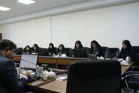 طرح موسوم به مهریه در نشست مشترک فراکسیون زنان مجلس با سخنگوی شورای نگهبان بررسی شد