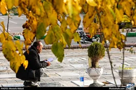 طی هفته گذشته چند نفر در مشهد فوت کردند؟ &nbsp;