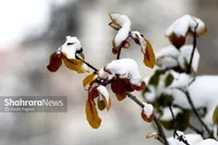 بارش برف و باران همچنان مهمان نوروزی جاده‌های خراسان رضوی است (۶فروردین ۱۴۰۴)