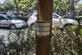 برگزاری پویش «نذر من» برای پاکیزگی مسیر زائران امام رضا(ع) در روز‌های پایانی ماه صفر ۱۴۰۵