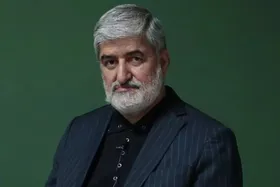 مطهری: انتشار اسامی جان&zwnj;باختگان روایت&zwnj;سازی&zwnj;های غلط را خنثی کرد