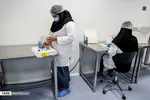 خط تولید واکسن برکت + تصاویر