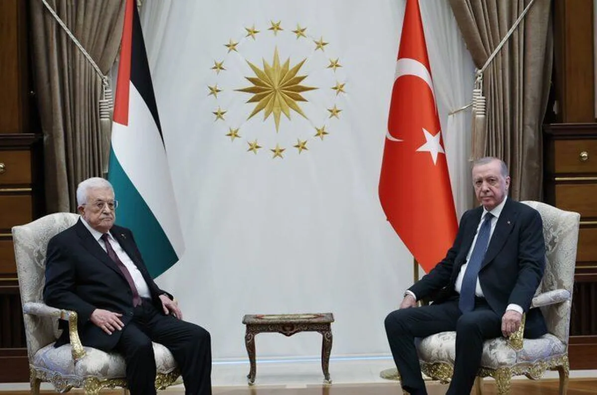 اردوغان: حمایت از فلسطین مسئولیت همه بشریت است