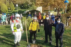 درباره کرامت عزیززاده که ۲۰ سال است دور دنیا می&zwnj;چرخد و درخت می&zwnj;کارد