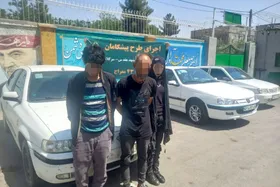 سرقت&zwnj;های سریالی با پابند الکترونیک در مشهد
