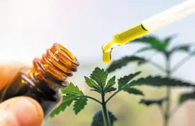 تولید دو داروی گیاهی در درمان کرونا