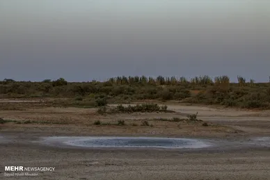 مرگ هورالعظیم