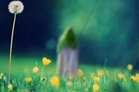 درنگی در پیوند میان انسان منتظر و امام غایب