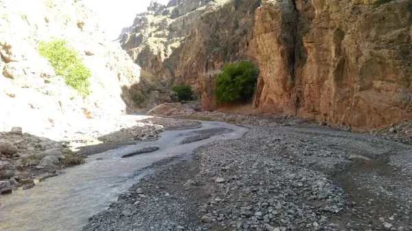 شهروند خبرنگار| طبیعت زیبای روستای آبقد درخراسان رضوی