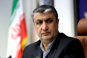 توضیحات رئیس سازمان انرژی اتمی درباره مذاکرات وین | مباحث فنی تمام و مشخص شده است