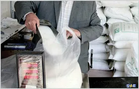 سلاطین شکر مشهد دستگیر شدند