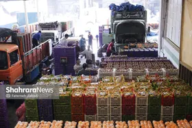 گزارش تصویری |  میدان تره&zwnj;بار سپاد در تب&zwnj; و تاب نوروز